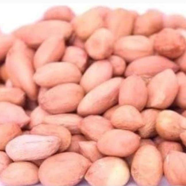 Peanut, Groundnut