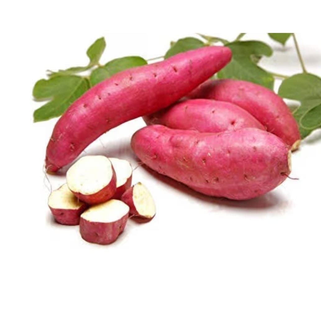 Sweet Potato