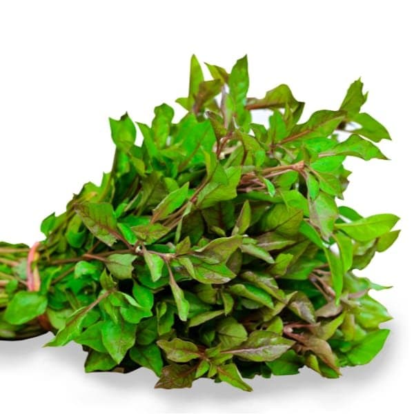 Green ponnaanganni