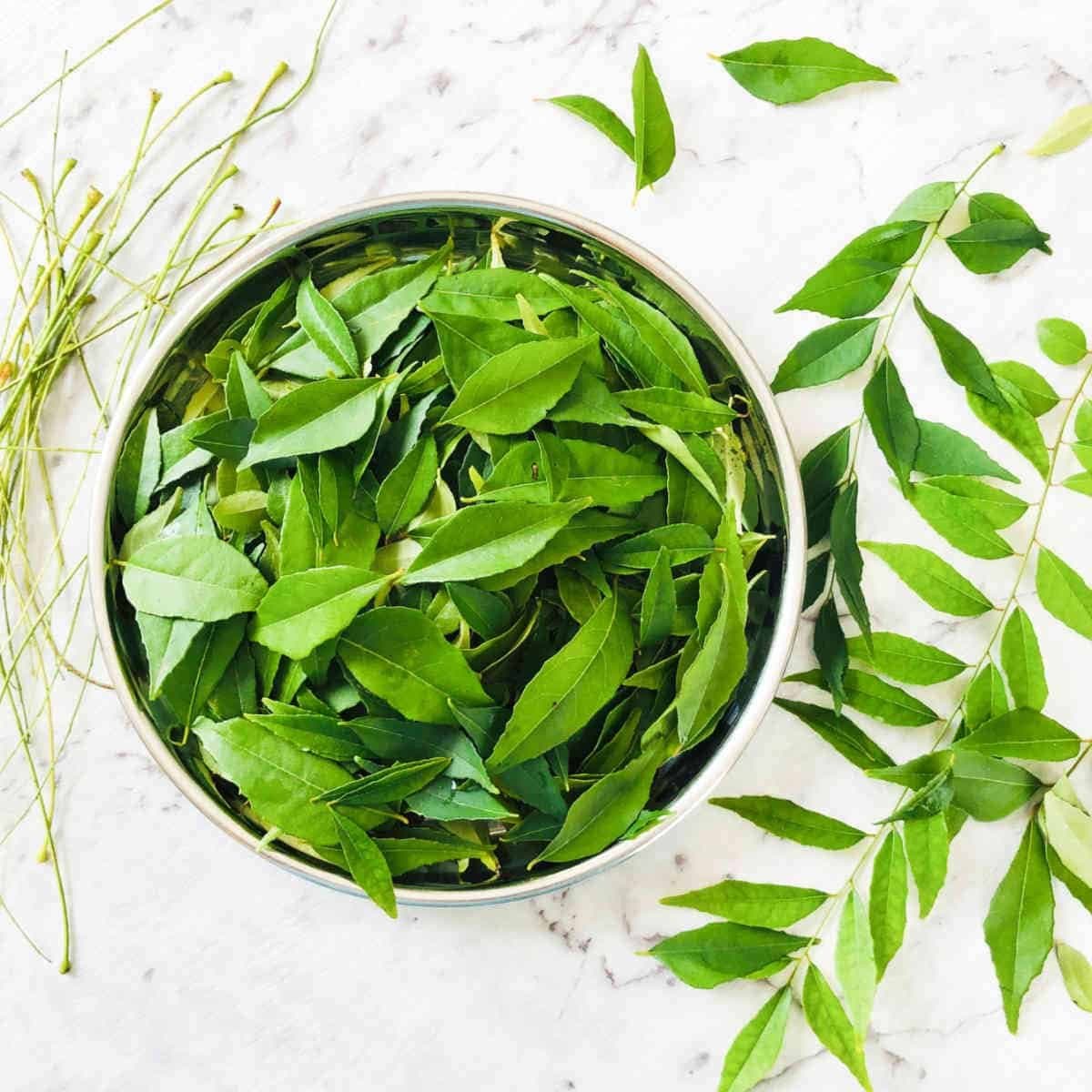 Curry leaves